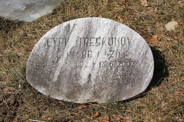 Lapide Sul Cimitero Cani Caccia Sulla Collina Zdar Montagne Beskydy — Foto Stock