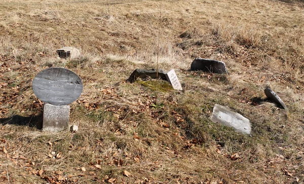 Alcune Lapidi Sul Cimitero Cani Caccia Sulla Collina Zdar Montagne — Foto Stock