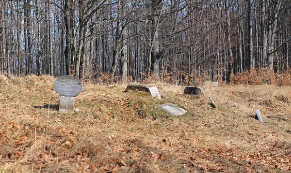 Algumas Lápides Cemitério Para Cães Caça Zdar Hill Montanhas Beskydy — Fotografia de Stock