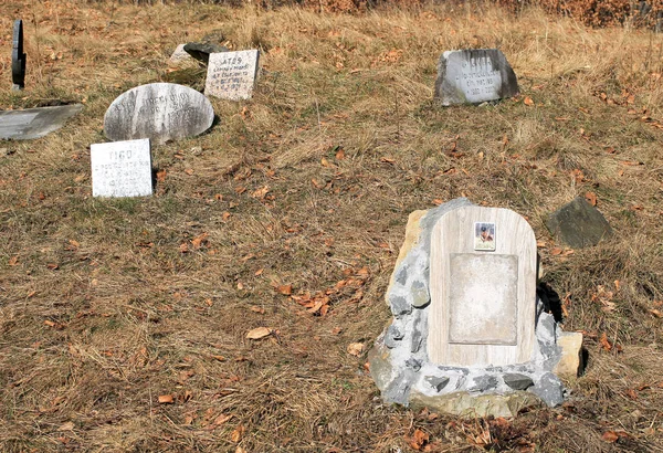 Niektóre Nagrobki Cmentarzu Dla Psów Myśliwskich Wzgórzu Zdar Beskidy Czechy — Zdjęcie stockowe
