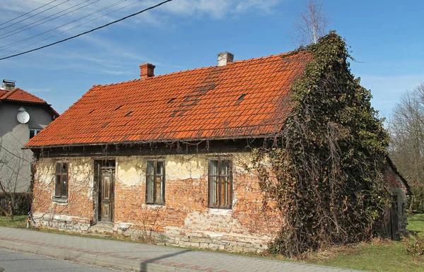 Casa Velha Abandonada Danificada Coberto Com Hera Frydek Mistek República — Fotografia de Stock