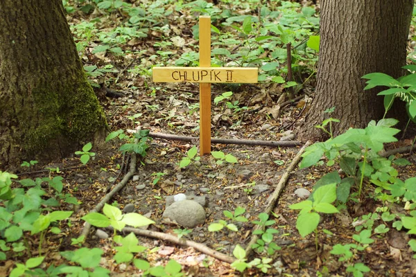 Cruz Sobre Tumba Una Mascota Enterrada Bosque — Foto de Stock