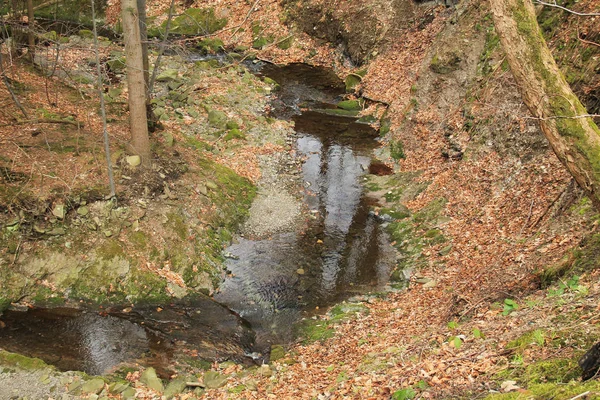 マウンテンブ ルック深い岩の渓谷 Beskydy チェコ共和国を流れる — ストック写真