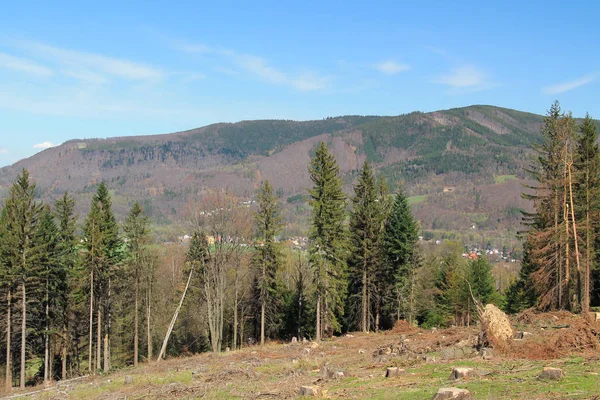 Landschaft Mit Hügeln Und Fichtenwald Davor Sonnigen Frühlingstagen Beskydy Mountains — Stockfoto