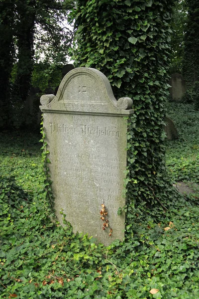 Pietra Tombale Vicino All Albero Ricoperto Edera Sul Vecchio Cimitero — Foto Stock