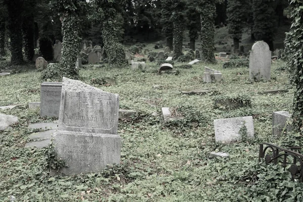 Foto Malinconica Desaturata Alcune Lapidi Sul Vecchio Cimitero Ebraico Tesin — Foto Stock