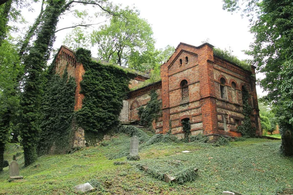 Zřícenina Cihlové Budovy Starý Židovský Hřbitov Těšín Polsko — Stock fotografie