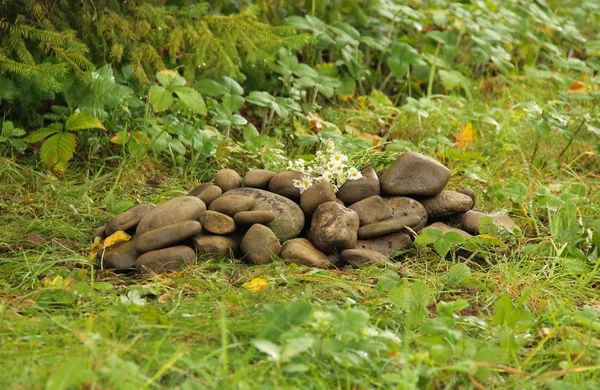 ペットの墓に草原の花で飾られた石のマウンド — ストック写真