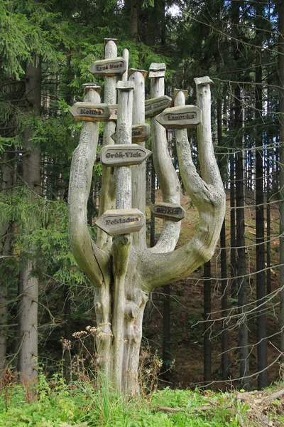 Деревянная Вывеска Дерева Бескиды Чехия — стоковое фото