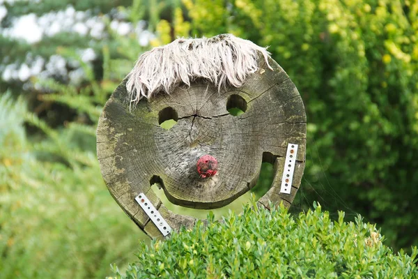 Funny Smiling Face Made Wood Garden — Stock Photo, Image
