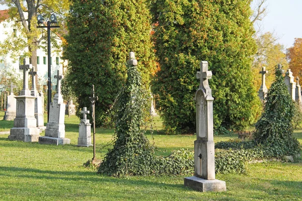 Algumas Lápides Antigas Com Plantas Hera Cemitério Ostrava Hrabova República — Fotografia de Stock