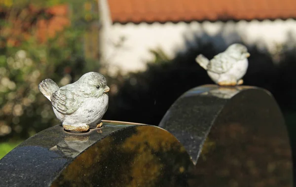 Twee Schattige Vogeltjes Het Graf Begraafplaats — Stockfoto