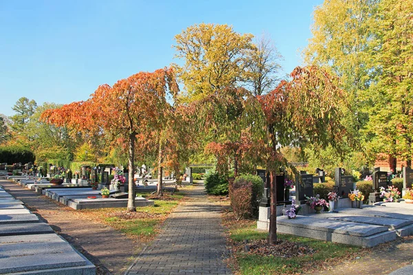 Некоторые Могилы Красочные Деревья Кладбище Тринеце Чехия — стоковое фото