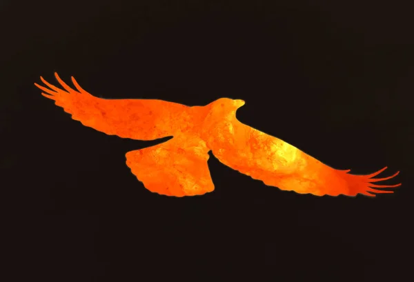 火と溶岩の黒い空に飛行のファンタジー鳥の Photomanipulation — ストック写真