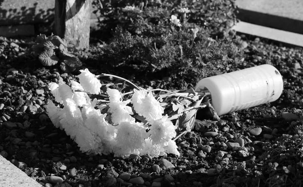 Foto Preto Branco Vaso Caído Com Flores Brancas Cemitério — Fotografia de Stock