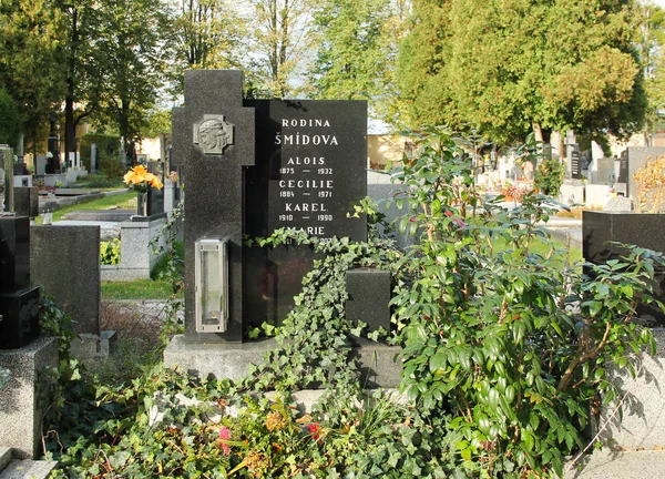Могила Черным Надгробием Зеленым Плющом Кустом Фридек Мистек Чехия — стоковое фото