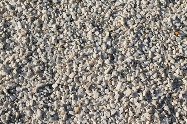 Viele Dekorative Kleine Hellgraue Steine Nützlich Als Hintergrund — Stockfoto