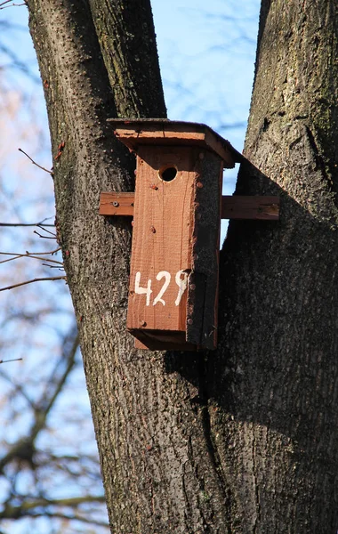 树上的鸟类木制筑巢箱 — 图库照片