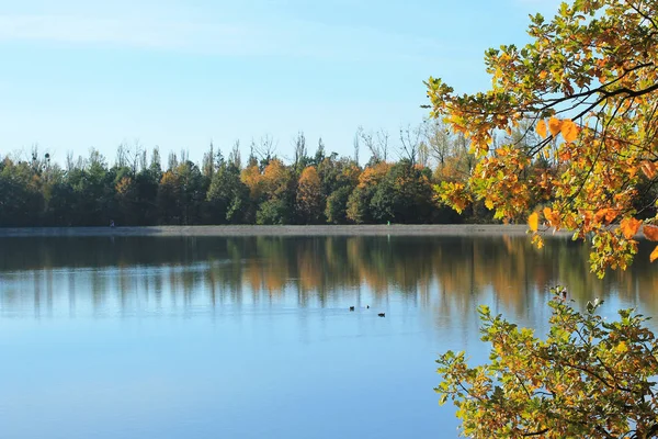 Гладкая Поверхность Плотины Башка Красочными Деревьями Растущими Берегу Осенью Чехия — стоковое фото