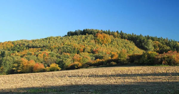 Herbstlandschaft Mit Bunten Bäumen Auf Den Hügeln Und Gepflügtem Feld — Stockfoto