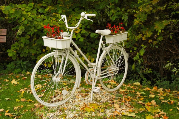 Stary Rower Pomalowane Biało Doniczki Ogrodzie Jesienią — Zdjęcie stockowe