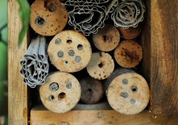 Detail Insect Hotel Holes Wood Sealed Solitary Bees — Stock Photo, Image