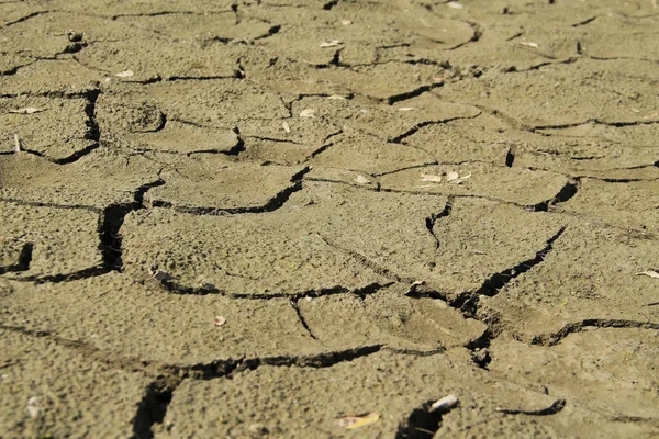 乾燥池の底部にひびの入った土の詳細 — ストック写真
