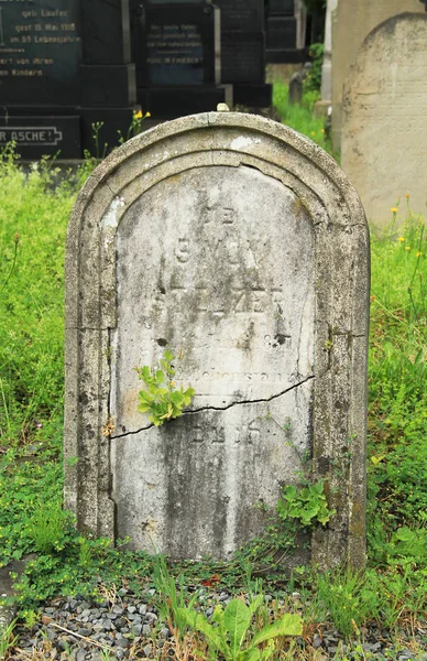 Antigua Lápida Cementerio Judío Frydek Mistek República Checa — Foto de Stock