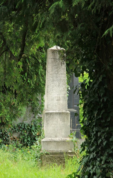 Frydek Mistek 공화국에 유태인 묘지에 — 스톡 사진