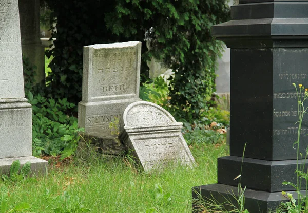 Gebroken Oude Grafsteen Joodse Begraafplaats Frydek Mistek Tsjechië — Stockfoto