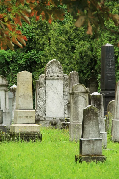 Hermosas Lápidas Antiguas Cementerio Judío Frydek Mistek República Checa —  Fotos de Stock