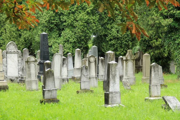 Hermosas Lápidas Antiguas Cementerio Judío Frydek Mistek República Checa —  Fotos de Stock