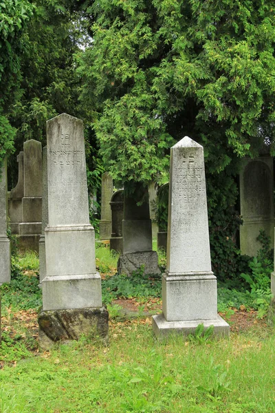Hermosas Lápidas Antiguas Cementerio Judío Frydek Mistek República Checa —  Fotos de Stock