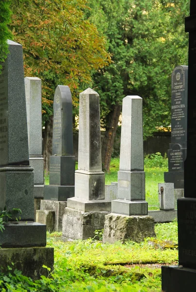 美丽的老墓碑在弗莱德克 米斯泰克 捷克共和国的犹太人墓地 — 图库照片