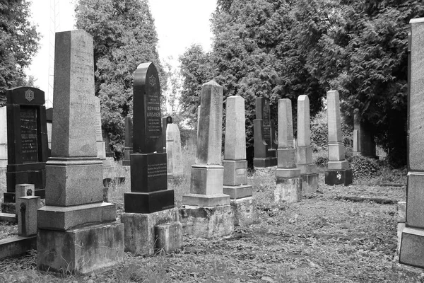 Foto Blanco Negro Hermosas Lápidas Antiguas Cementerio Judío Frydek Mistek —  Fotos de Stock