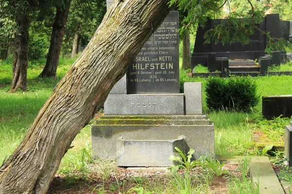 Vieja Lápida Tronco Árbol Cayendo Lentamente Sobre Cementerio Judío Frydek — Foto de Stock