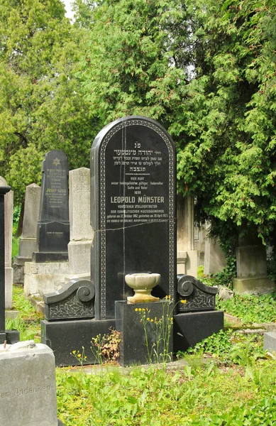 Hermosa Lápida Negra Cementerio Judío Frydek Mistek República Checa —  Fotos de Stock