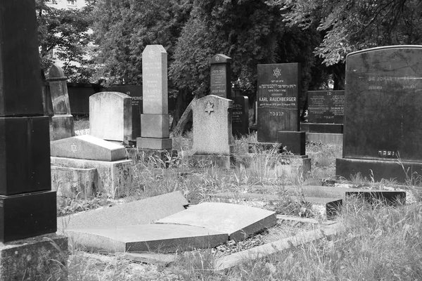 Foto Blanco Negro Hermosas Lápidas Antiguas Cementerio Judío Frydek Mistek —  Fotos de Stock