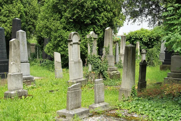 Hermosas Lápidas Antiguas Cementerio Judío Frydek Mistek República Checa Julio —  Fotos de Stock