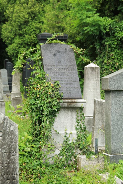 Vecchie Lapidi Ricoperte Edera Sul Cimitero Ebraico Frydek Mistek Repubblica — Foto Stock