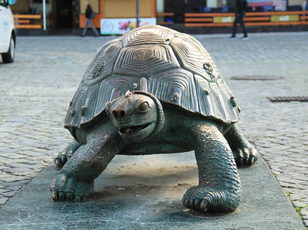 Statua Una Tartaruga Davanti Alla Fontana Arions Olomouc Repubblica Ceca — Foto Stock