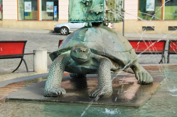 Statue Tortoise Arions Fountain Olomouc Czech Republic — Stock Photo, Image