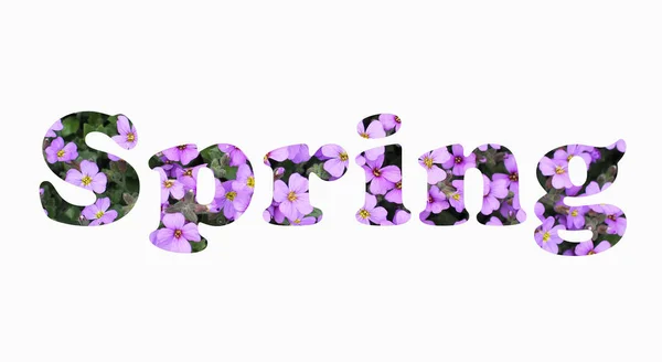 Inscripción Primavera Con Fototextura Flores Púrpuras Sobre Fondo Blanco — Foto de Stock