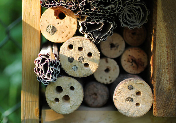 close photo of sealed holes in the branches in the bug hotel for solitary bees and other insect