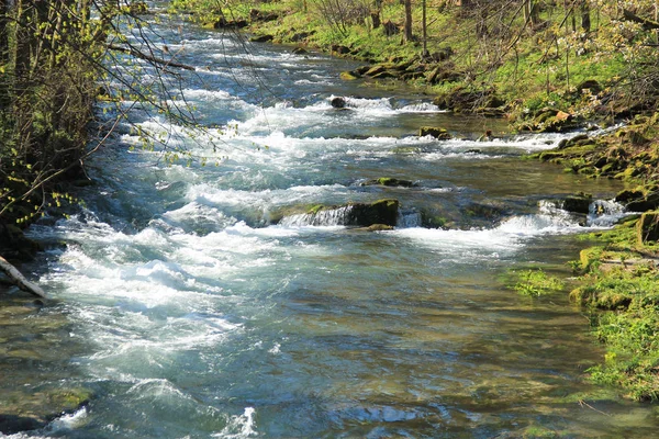 Річка Чиста Свіжа Вода Восени Гори Бескиди Чеська Республіка — стокове фото