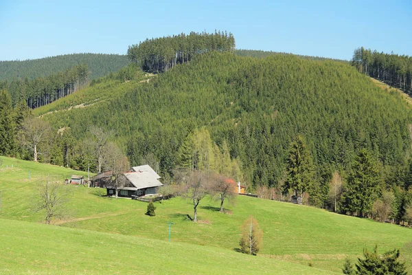 Landschaft Der Schroffen Berge Mit Grünen Wiesen Hütten Und Wäldern — Stockfoto