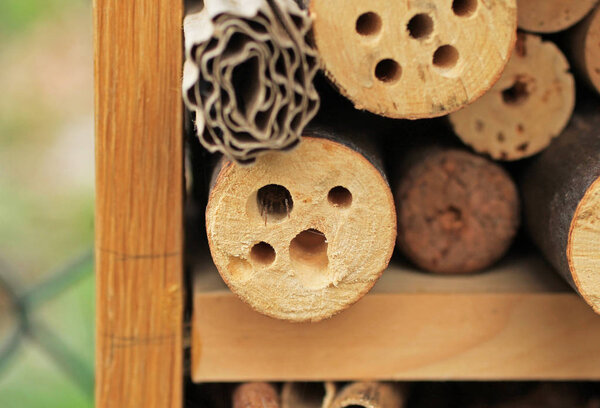 detail of insect hotel with a spider hiding in the hole