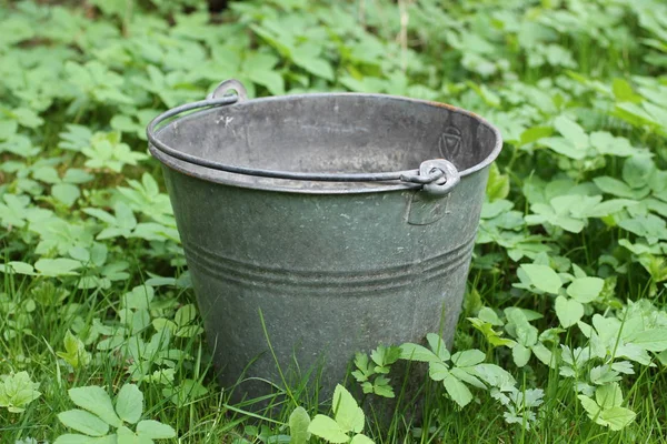 Metal Bucket Catching Water Green Plants Garden Spring — Stock Photo, Image