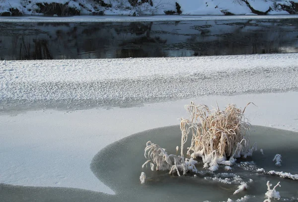 Fiume Parzialmente Ghiacciato Ciuffo Erba Mare Inverno — Foto Stock