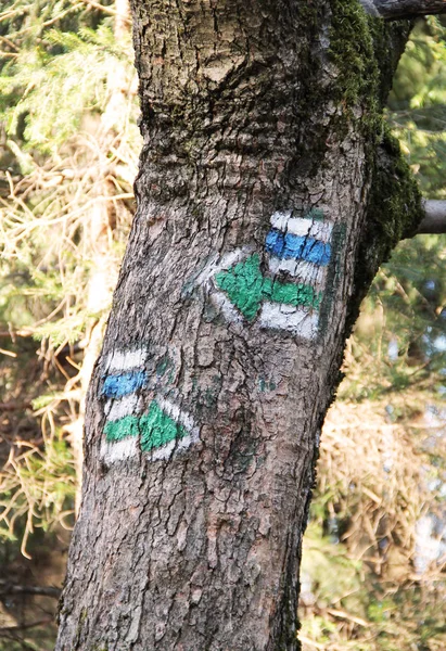 나무의 트렁크에는 관광객을 녹색과 표지판 — 스톡 사진